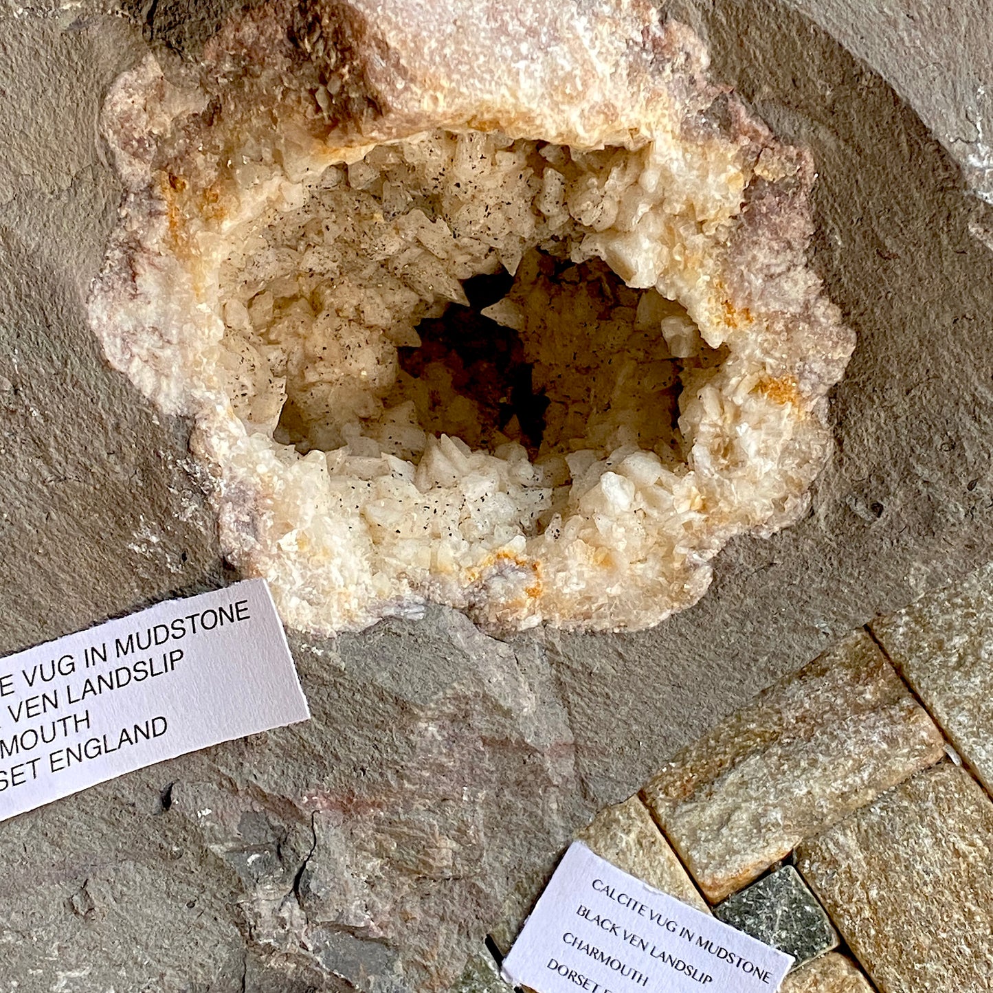 CALCITE VUG IN MUDSTONE , BLACK VEN, DORSET CLIFFS HEAVY 1469g MF1920