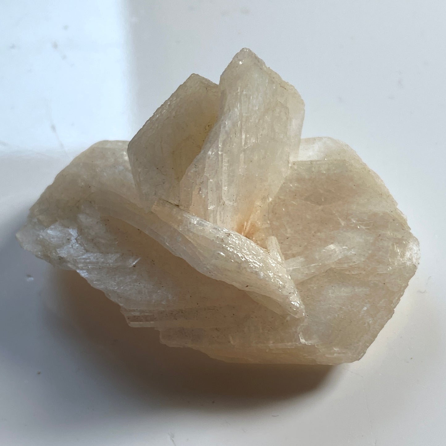 STILBITE FROM PASHAN QUARRIES, PUNE, MAHARASHTRA, INDIA 20g MF1921