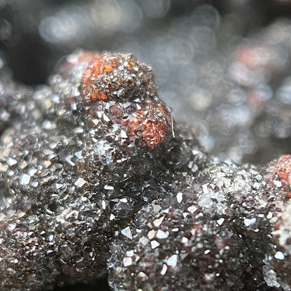 RHODOCHROSITE/MANGANESE OXIDES [ETC] : WHEAL COCK, BOTALLACK, ST JUST, CORNWALL 383g MF5099