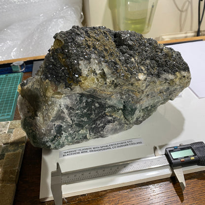 FLUORITE "MASSIVE" - BLACKDENE MINE, IRESHOPEBURN, CO DURHAM, ENGLAND SUBSTANTIAL 8.6kg MF4484