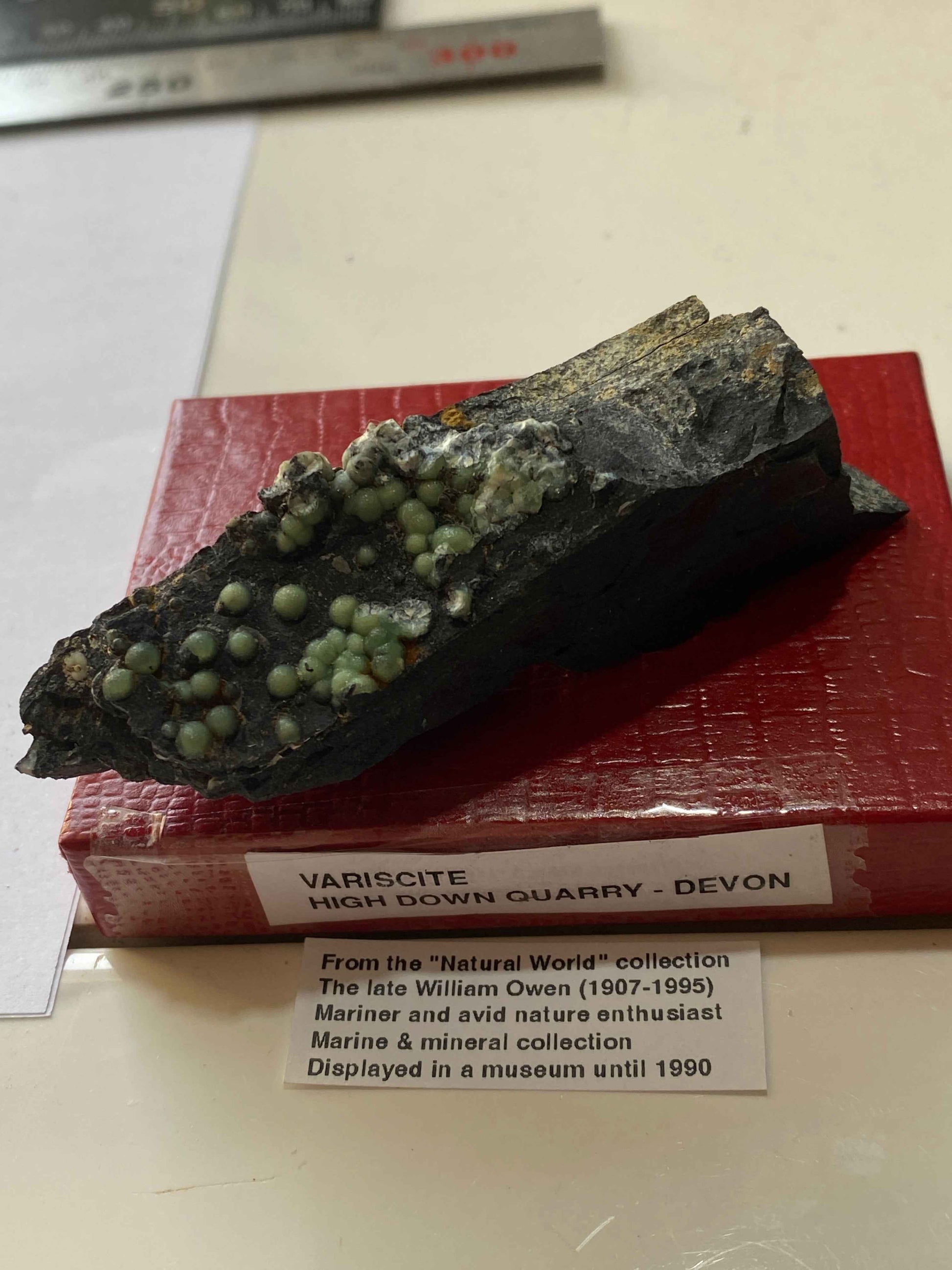 VARISCITE [ON CARBONACEOUS SHALE] : HIGH DOWN QUARRY, NORTH DEVON, ENGLAND 45g. MF5104