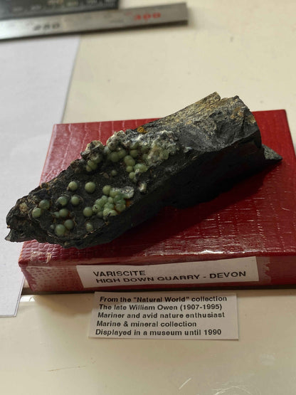 VARISCITE [ON CARBONACEOUS SHALE] : HIGH DOWN QUARRY, NORTH DEVON, ENGLAND 45g. MF5104