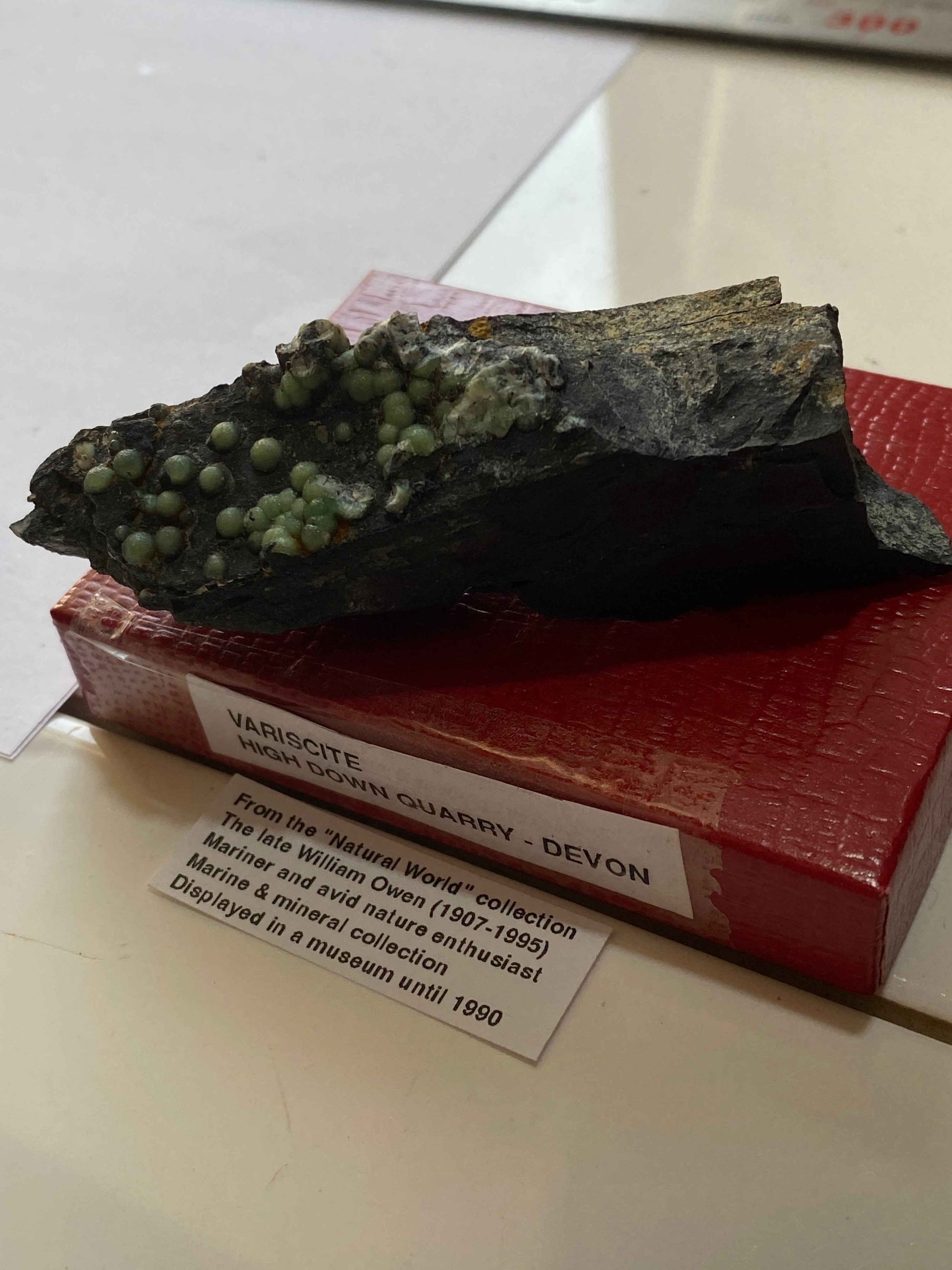 VARISCITE [ON CARBONACEOUS SHALE] : HIGH DOWN QUARRY, NORTH DEVON, ENGLAND 45g. MF5104