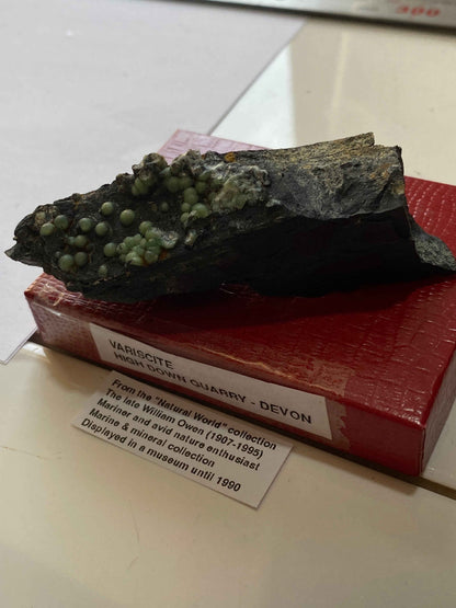 VARISCITE [ON CARBONACEOUS SHALE] : HIGH DOWN QUARRY, NORTH DEVON, ENGLAND 45g. MF5104