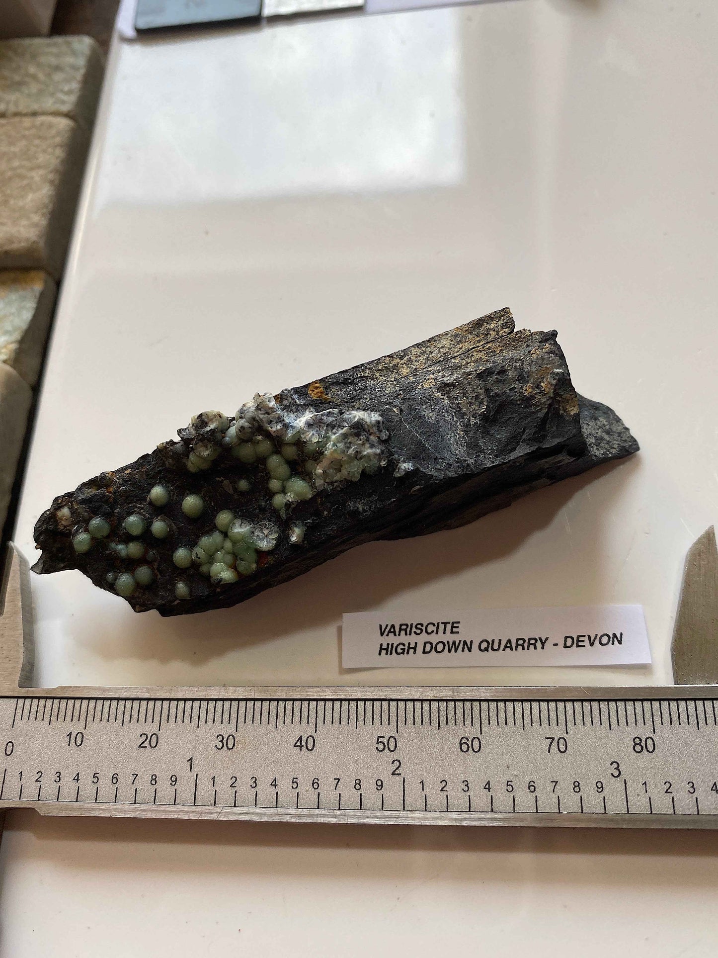 VARISCITE [ON CARBONACEOUS SHALE] : HIGH DOWN QUARRY, NORTH DEVON, ENGLAND 45g. MF5104