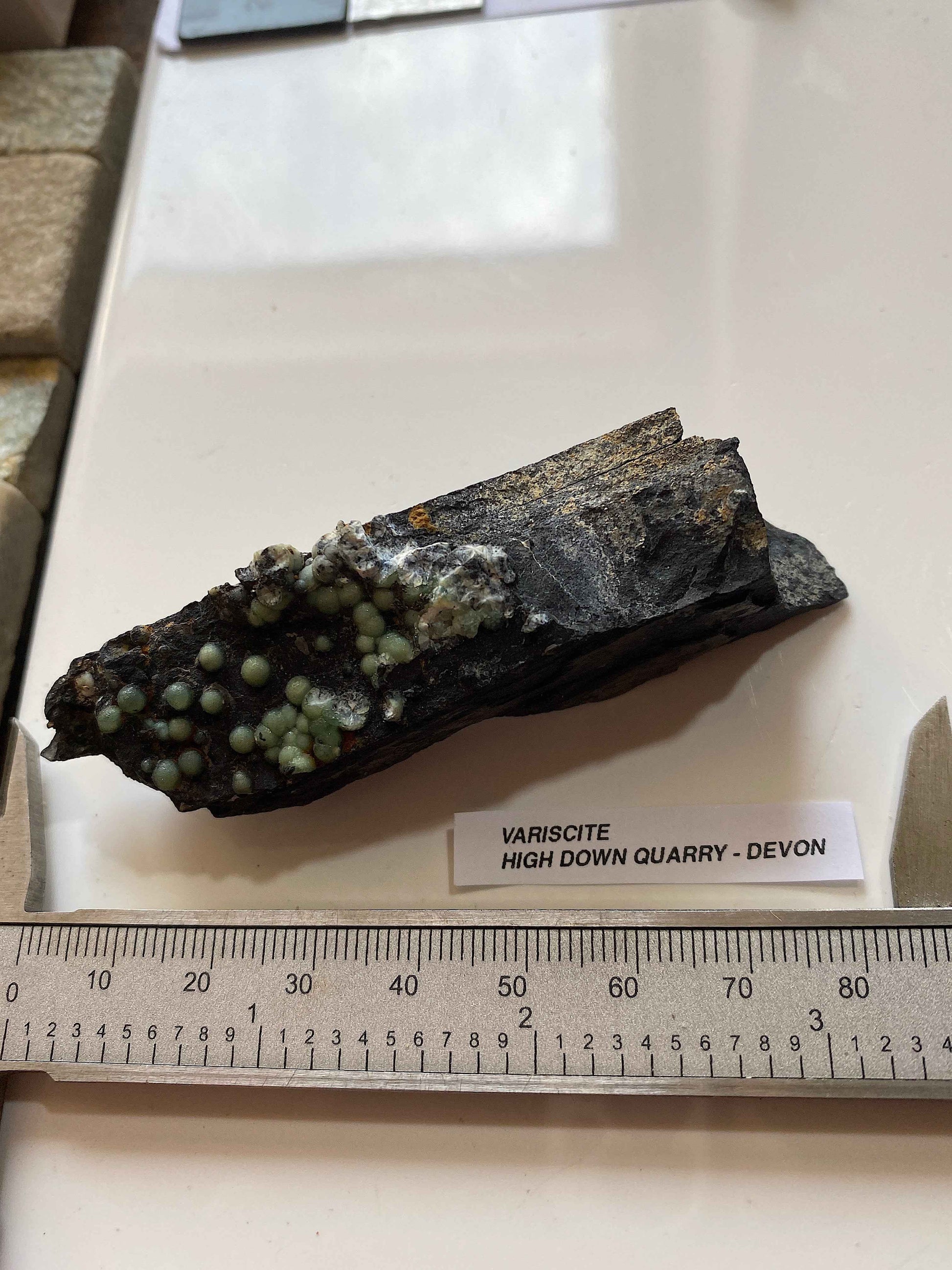 VARISCITE [ON CARBONACEOUS SHALE] : HIGH DOWN QUARRY, NORTH DEVON, ENGLAND 45g. MF5104