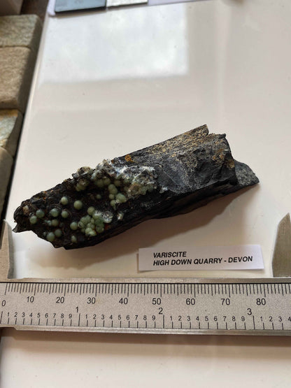 VARISCITE [ON CARBONACEOUS SHALE] : HIGH DOWN QUARRY, NORTH DEVON, ENGLAND 45g. MF5104