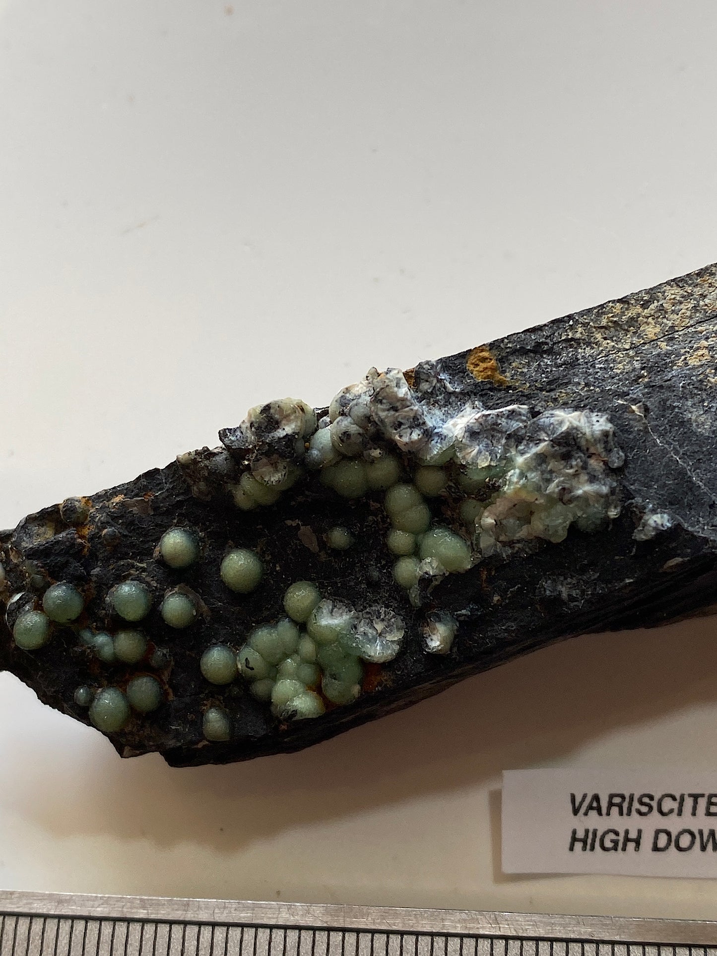 VARISCITE [ON CARBONACEOUS SHALE] : HIGH DOWN QUARRY, NORTH DEVON, ENGLAND 45g. MF5104