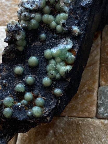 VARISCITE [ON CARBONACEOUS SHALE] : HIGH DOWN QUARRY, NORTH DEVON, ENGLAND 45g. MF5104