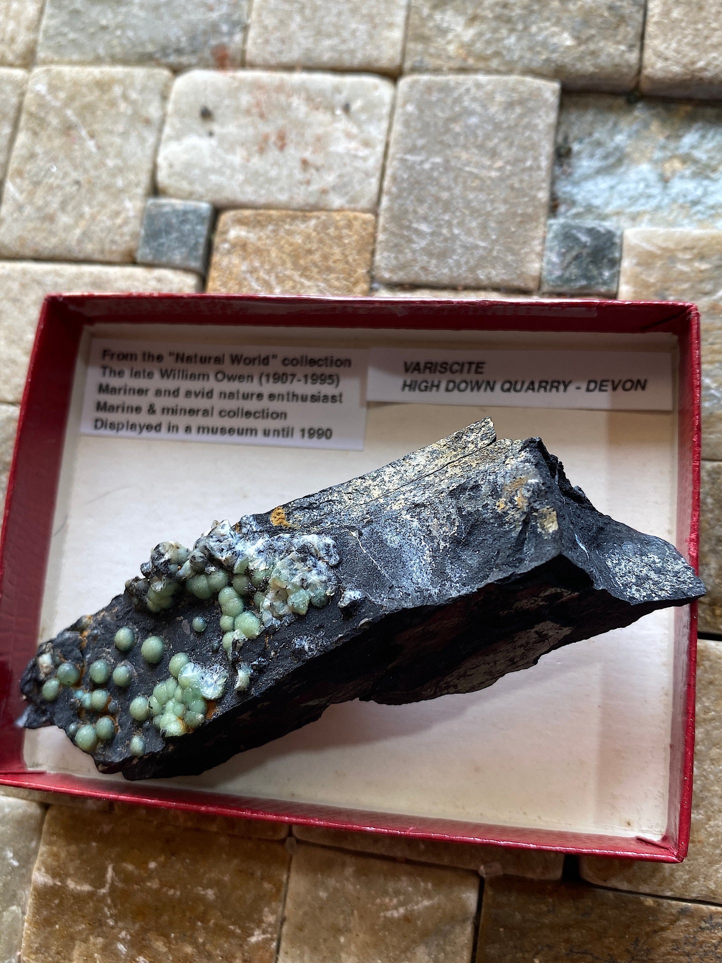 VARISCITE [ON CARBONACEOUS SHALE] : HIGH DOWN QUARRY, NORTH DEVON, ENGLAND 45g. MF5104