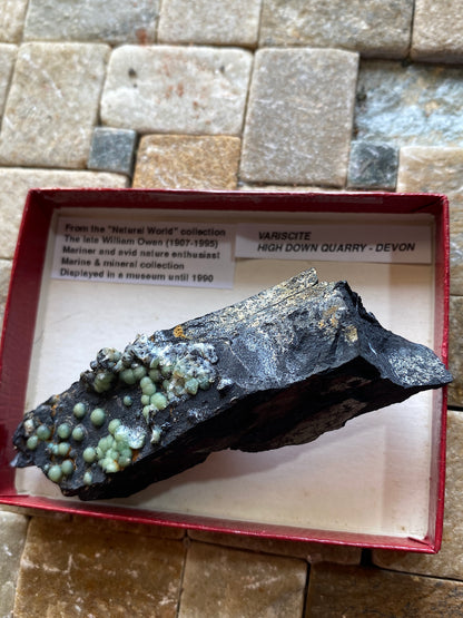 VARISCITE [ON CARBONACEOUS SHALE] : HIGH DOWN QUARRY, NORTH DEVON, ENGLAND 45g. MF5104