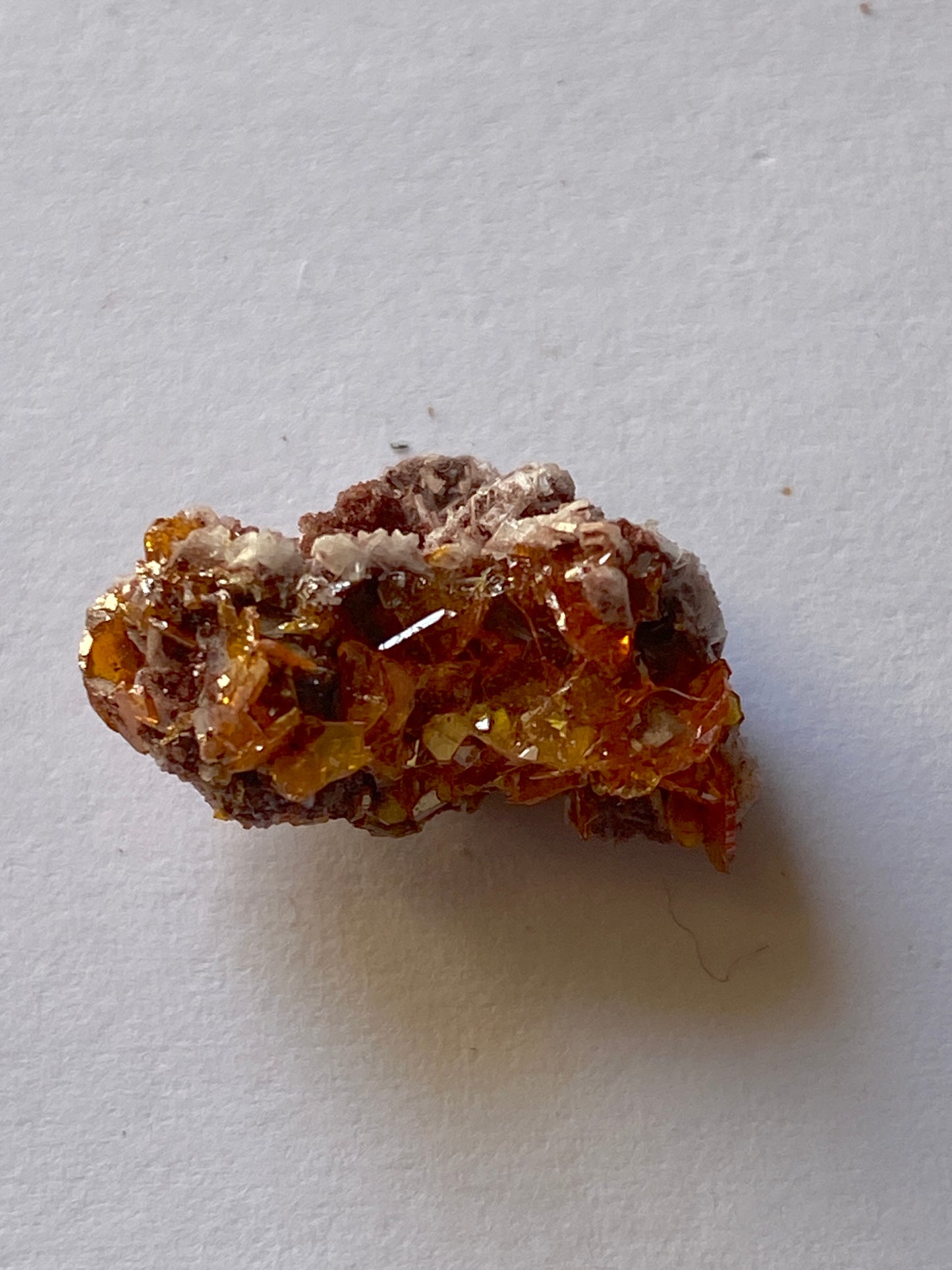 WULFENITE x 2 : ROWLEY MINE, ARIZONA, U.S.A.  3g [total]. MF5107