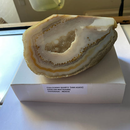 CHALCEDONY QUARTZ [VAT AGATE] - ESTACION MOCTEZUMA, CHIHUAHUA, MEXICO 622g MF4496
