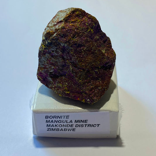 BORNITE COPPER ORE - MANGULA MINE, ZIMBABWE, AFRICA 68g MF4491