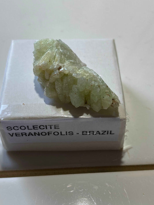 SCOLECITE CRYSTAL CLUSTER : VERANOPOLIS, RIO GRANDE DO SUL, BRAZIL. MF5111