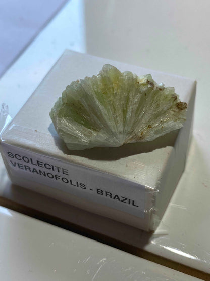SCOLECITE CRYSTAL CLUSTER : VERANOPOLIS, RIO GRANDE DO SUL, BRAZIL. MF5111