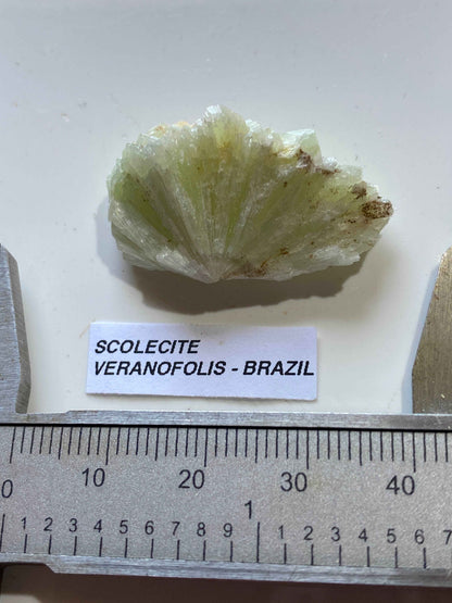 SCOLECITE CRYSTAL CLUSTER : VERANOPOLIS, RIO GRANDE DO SUL, BRAZIL. MF5111