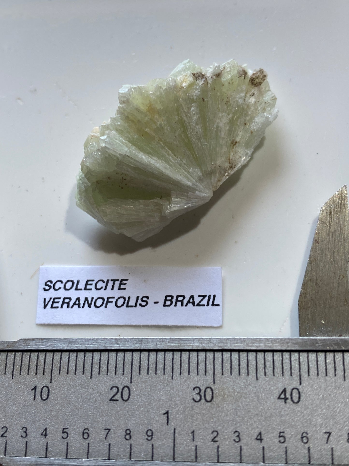 SCOLECITE CRYSTAL CLUSTER : VERANOPOLIS, RIO GRANDE DO SUL, BRAZIL. MF5111