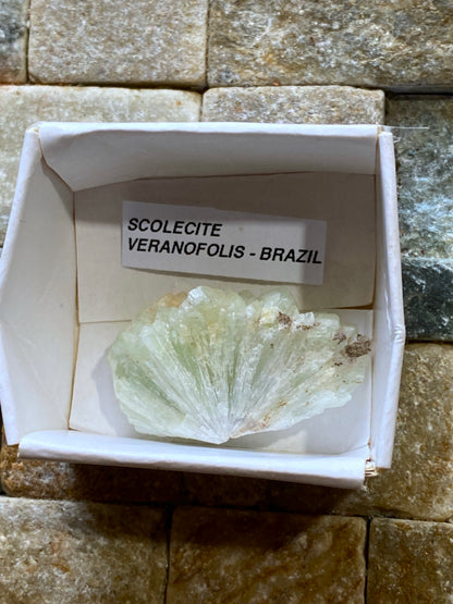 SCOLECITE CRYSTAL CLUSTER : VERANOPOLIS, RIO GRANDE DO SUL, BRAZIL. MF5111