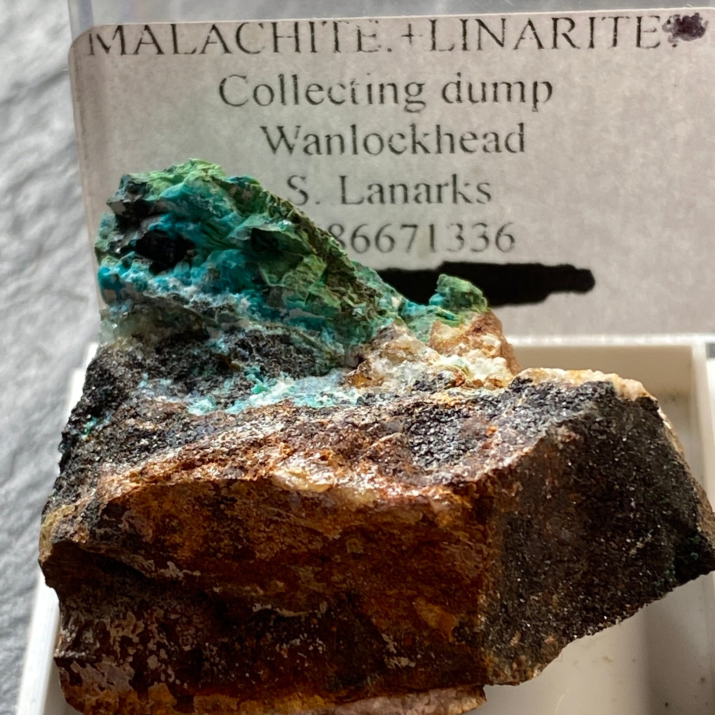 MALCHITE WITH LINARITE ETC, WANLOCKHEAD, SCOTLAND 25g MF1933