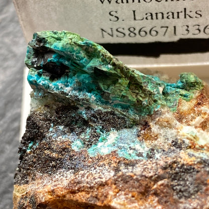 MALCHITE WITH LINARITE ETC, WANLOCKHEAD, SCOTLAND 25g MF1933