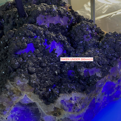 SUBSTANTIAL FLUORITE/PYRITE : BLACKDENE MINE, CO DURHAM, ENGLAND HEAVY 20kg MF4499