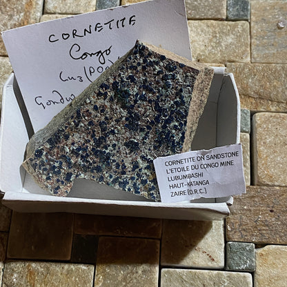 CORNETITE ON SANDSTONE MATRIX : L'TOILE DU CONGO MINE,  ZAIRE [D.R.C.] 59g MF1442