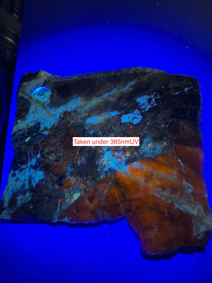 SODALITE [SLICE] : HIASSU FARM, ITAJUPO COLONIA, BAHIA, BRAZIL. 58g. MF5120