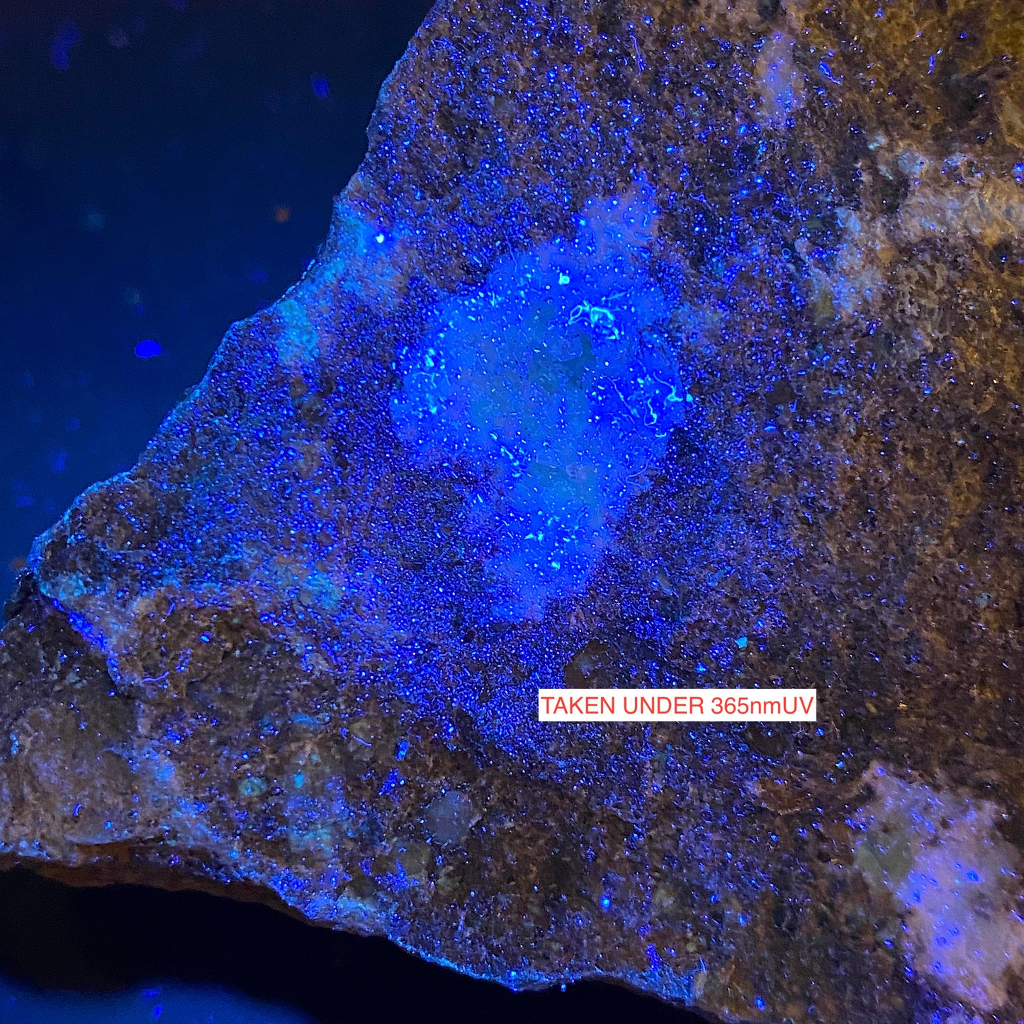 ANKERITE/CALCITE/PYRITE/CHALCOPYRITE SMALLCLEUGH MINE. 186g MF1419