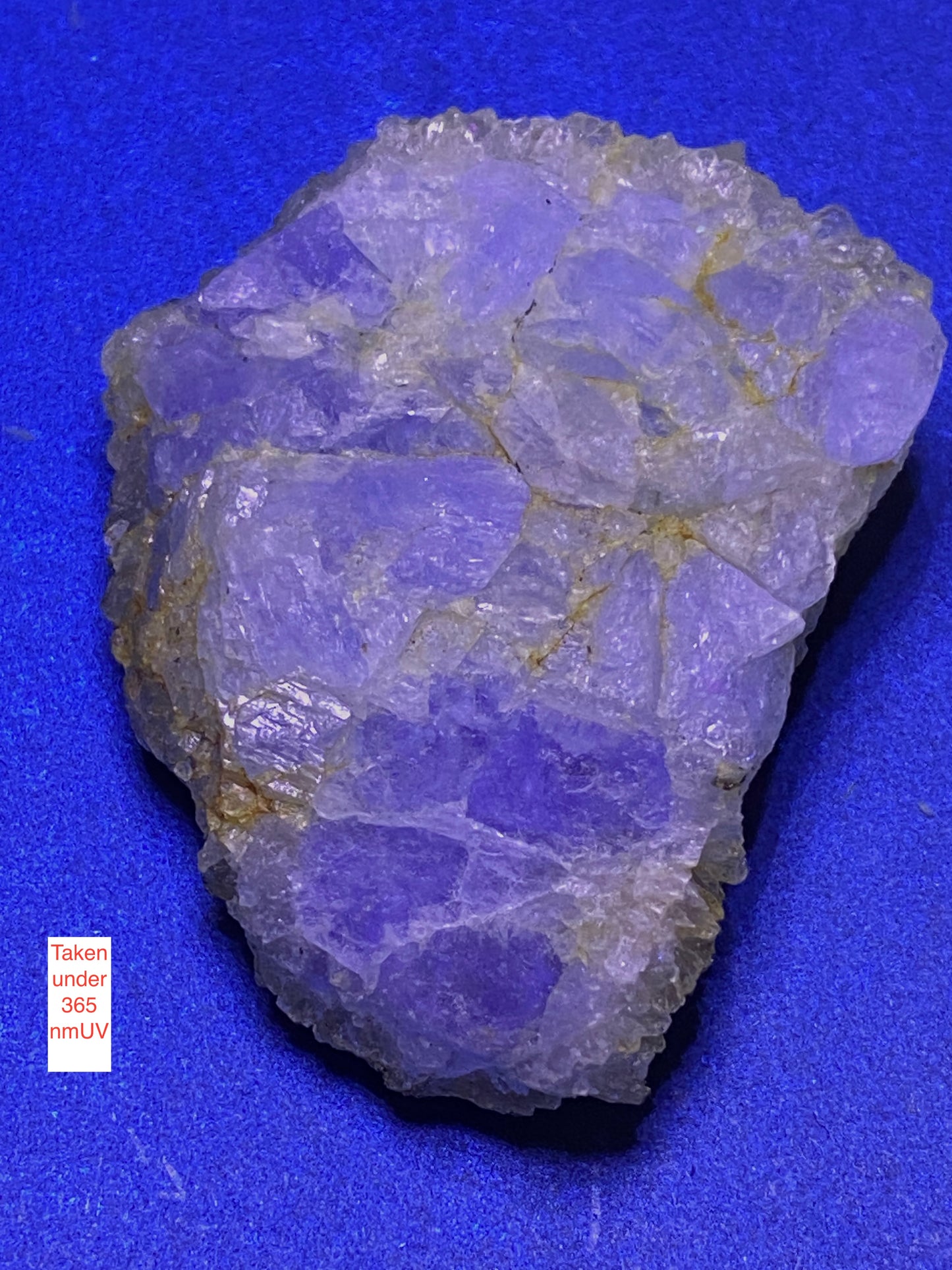 FLUORITE/CHALCOPYRITE/CALCITE : LADYWASH MINE, EYAM, DERBYSHIRE. 18g. MF5125