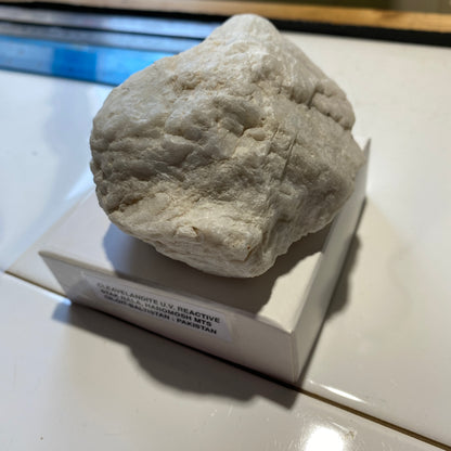 CLEAVELANDITE : STAK NALA, HAROMOSH MTS., GILGIT-BALTISTAN, PAKISTAN 283g MF4502