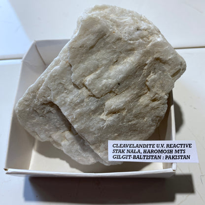 CLEAVELANDITE : STAK NALA, HAROMOSH MTS., GILGIT-BALTISTAN, PAKISTAN 283g MF4502