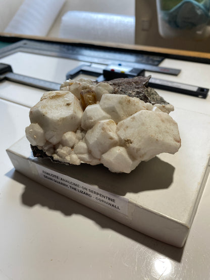 ANALCIME [ANALCITE] ON SERPENTINE : DEAN QUARRY, ST KEVERNE, THEB LIZAED, CORNWALL  397g MF5128