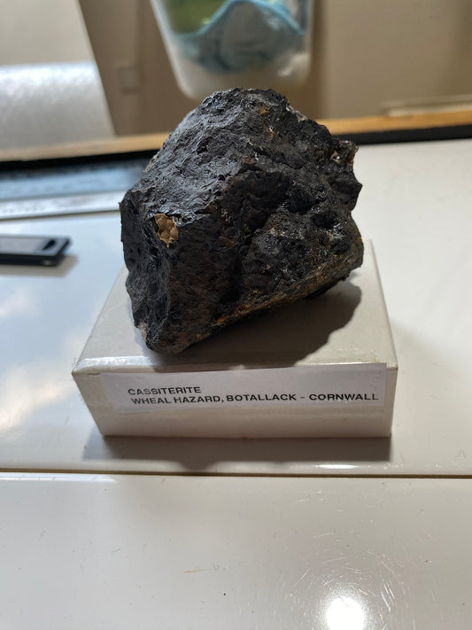 CASSITERITE TIN ORE : WHEAL HAZARD, BOTALLACK, ST JUST, CORNWALL  253g MF5130