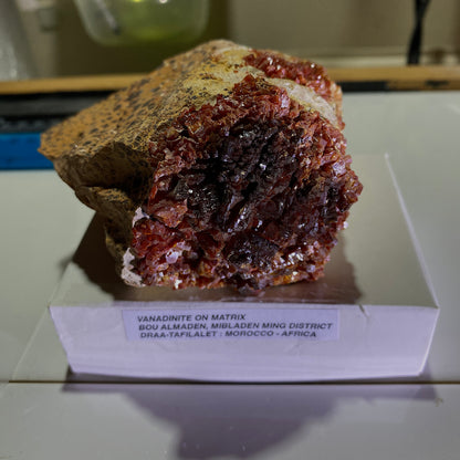 VANADINITE ON MATRIX - MIBLADEN MINING DISTRICT, DRAA-TAFILALET, MOROCCO 543g MF4505