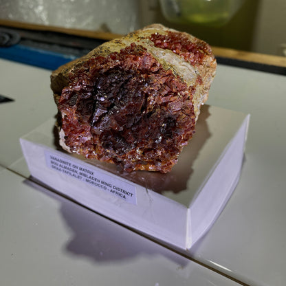 VANADINITE ON MATRIX - MIBLADEN MINING DISTRICT, DRAA-TAFILALET, MOROCCO 543g MF4505
