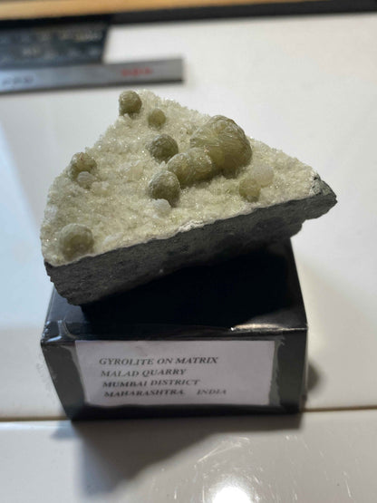GYROLITE ON QUARTZ: MALAD QUARRY, MUMBA, MAHARASHTRA, INDIA  60g. MF5131