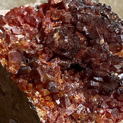 VANADINITE ON MATRIX - MIBLADEN MINING DISTRICT, DRAA-TAFILALET, MOROCCO 543g MF4505