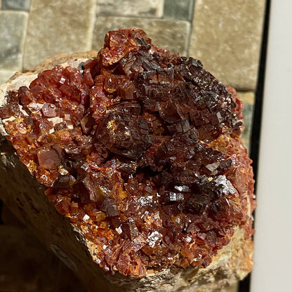 VANADINITE ON MATRIX - MIBLADEN MINING DISTRICT, DRAA-TAFILALET, MOROCCO 543g MF4505