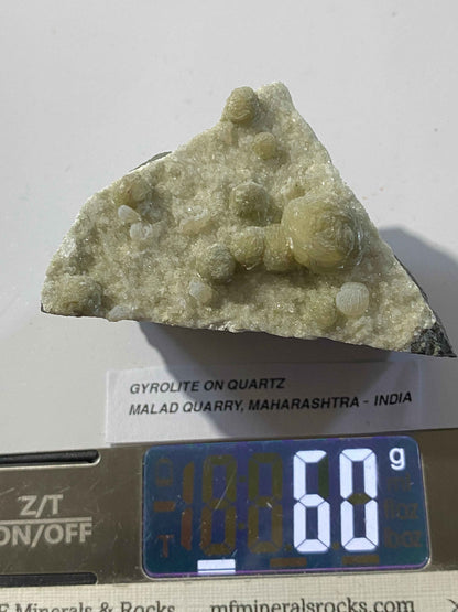 GYROLITE ON QUARTZ: MALAD QUARRY, MUMBA, MAHARASHTRA, INDIA  60g. MF5131