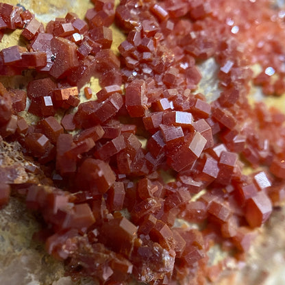 VANADINITE ON MATRIX - MIBLADEN MINING DISTRICT, DRAA-TAFILALET, MOROCCO 543g MF4505