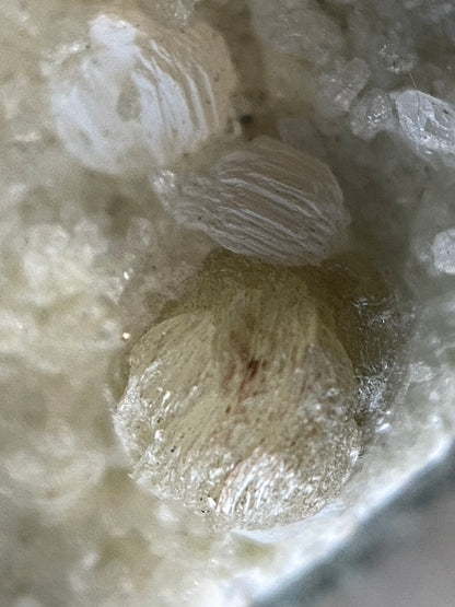 GYROLITE ON QUARTZ: MALAD QUARRY, MUMBA, MAHARASHTRA, INDIA  60g. MF5131