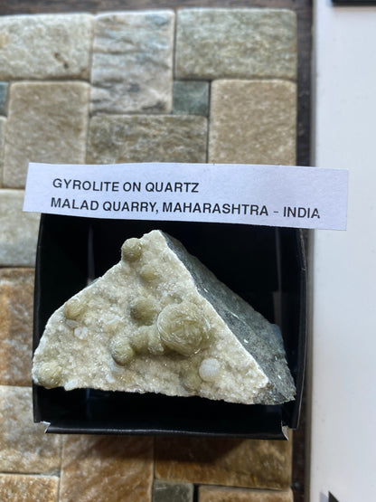 GYROLITE ON QUARTZ: MALAD QUARRY, MUMBA, MAHARASHTRA, INDIA  60g. MF5131