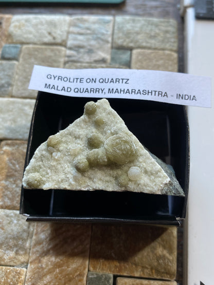 GYROLITE ON QUARTZ: MALAD QUARRY, MUMBA, MAHARASHTRA, INDIA  60g. MF5131
