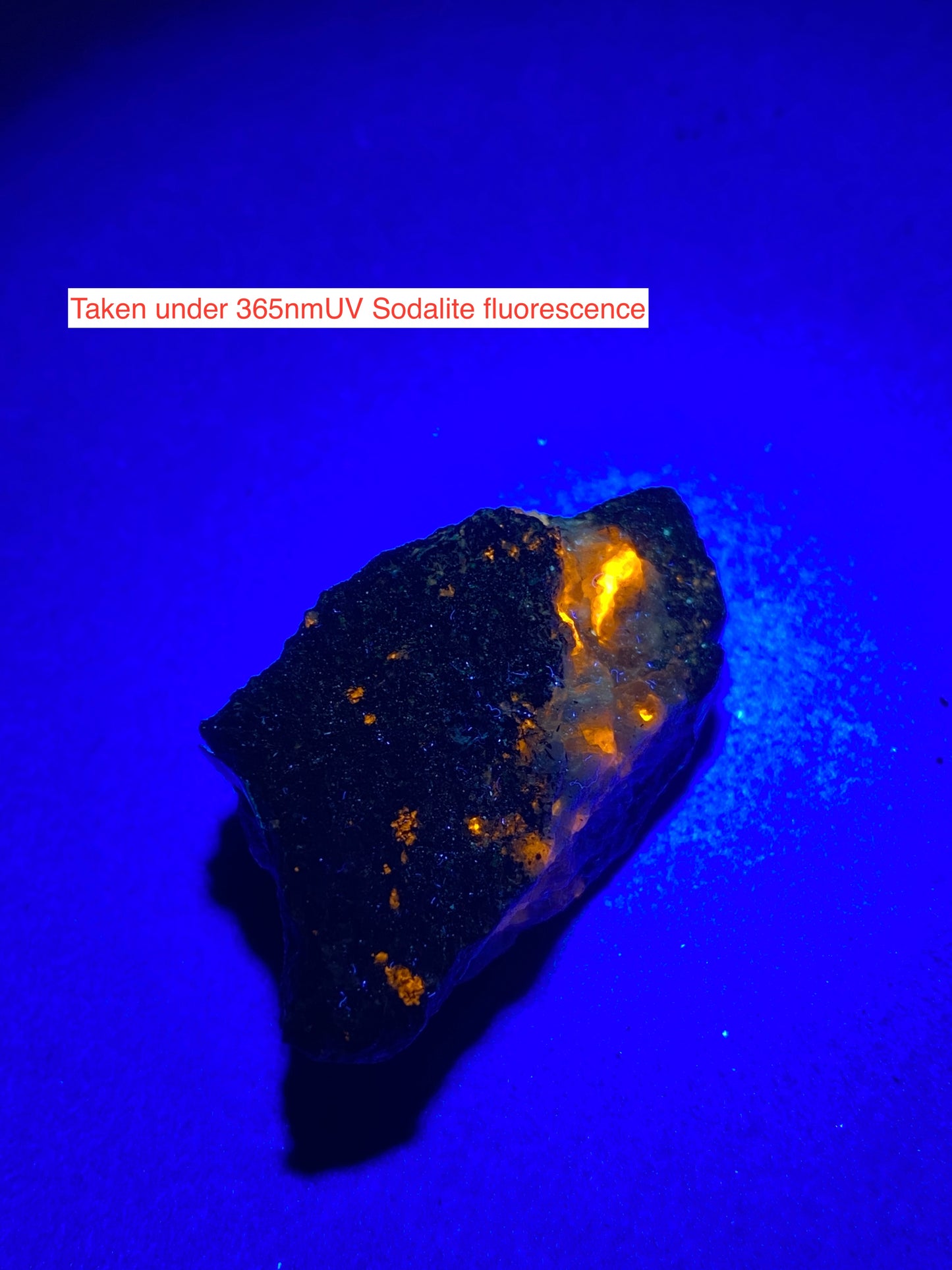 VUONNETITE WITH SODALITE [ETC] : KVANEFJELD, ILIMAUSSAQ COMPLEX, GREENLAND 13g MF5133