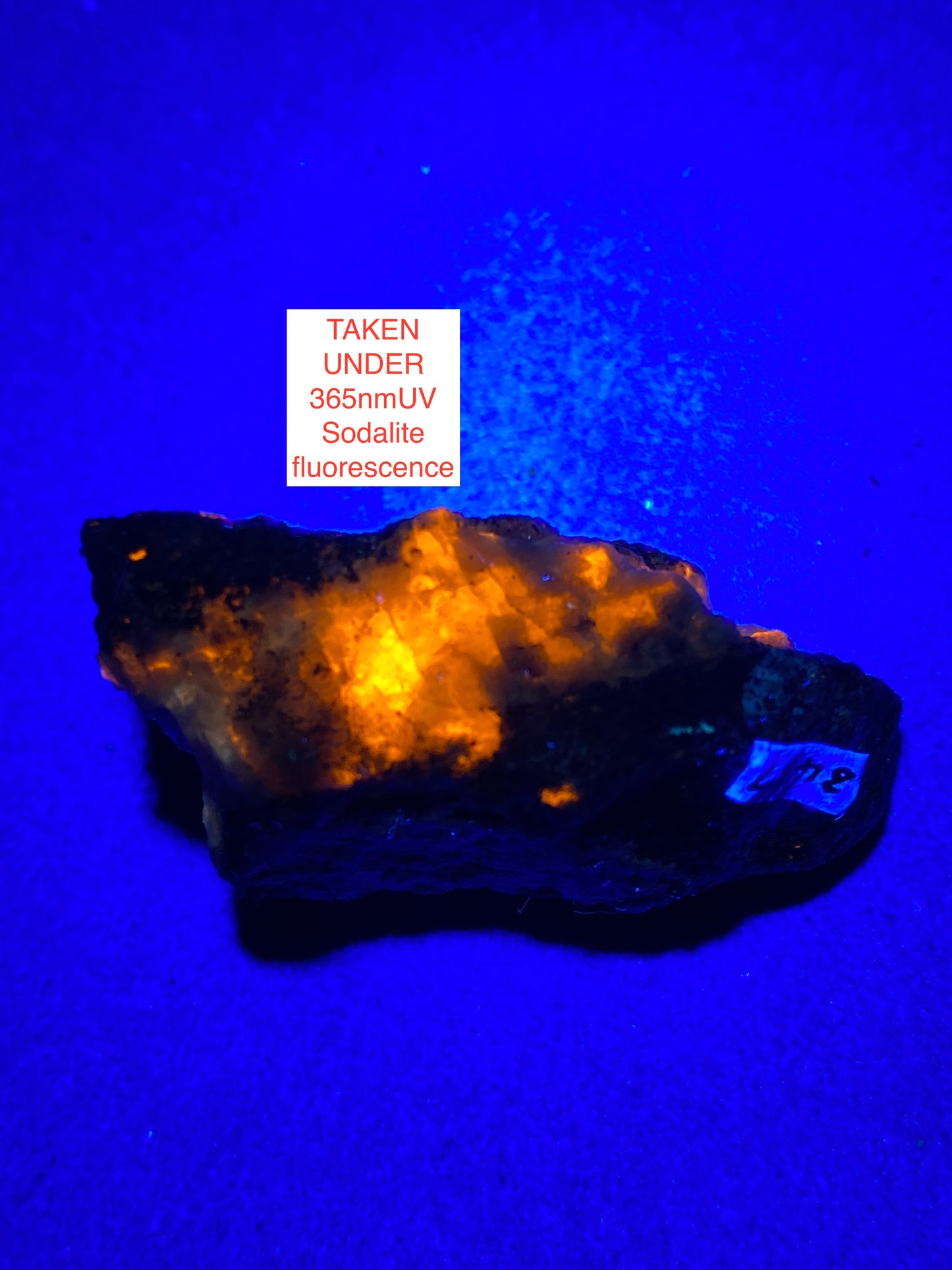 VUONNETITE WITH SODALITE [ETC] : KVANEFJELD, ILIMAUSSAQ COMPLEX, GREENLAND 13g MF5133