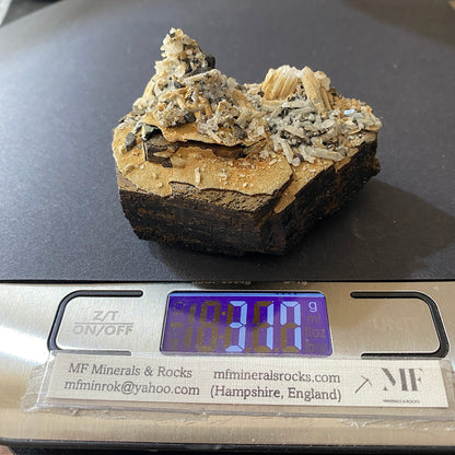 PYRRHOTITE RARE SPÉCIMEN DE DALNEGORSK, RUSSIE 312g MF6783