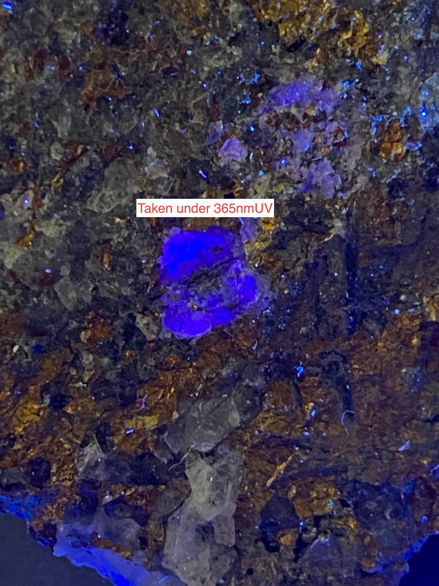 CHALCOPYRITE WITH TRACES FLUORITE : HINGSTON DOWN QUARRY, GUNNISLAKE, CORNWALL. 77g MF5134