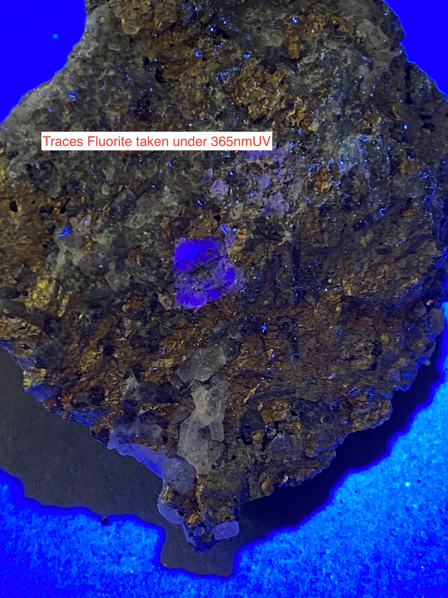 CHALCOPYRITE WITH TRACES FLUORITE : HINGSTON DOWN QUARRY, GUNNISLAKE, CORNWALL. 77g MF5134