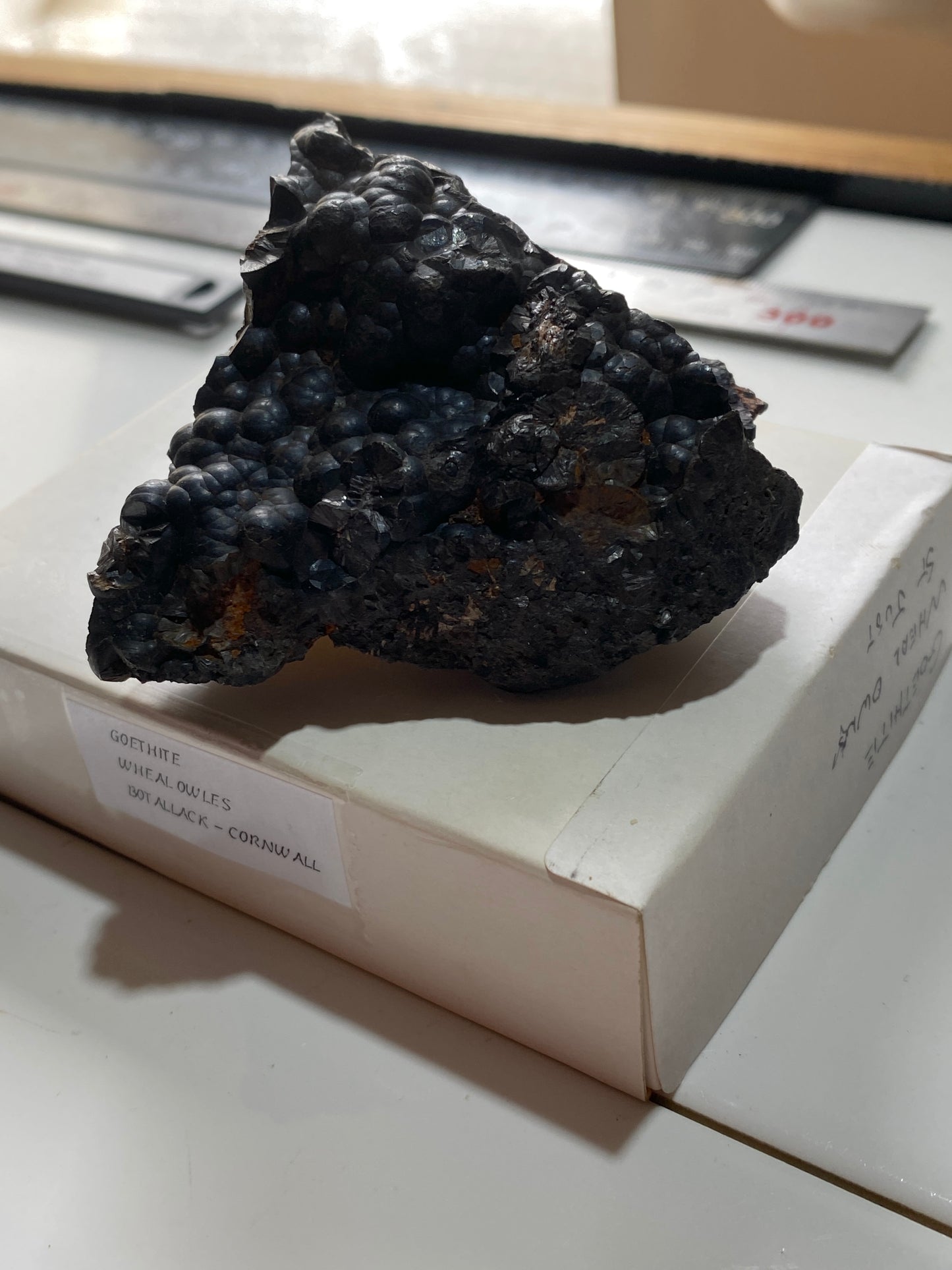 GOETHITE : WHEAL OWLES, BOTALLACK, ST JUST, CORNWALL  168g. MF5136